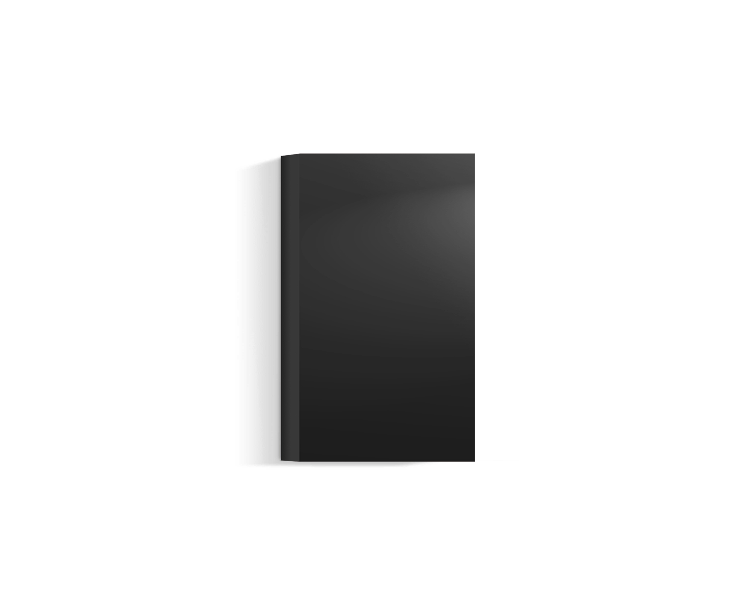 Design Salon Armoire suspendue verticale H96 L60 noir318 Design Salon Armoire suspendue verticale H96 L60 noir318