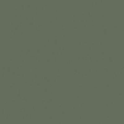Vert mat - 342 Foglia (similaire à RAL6003)