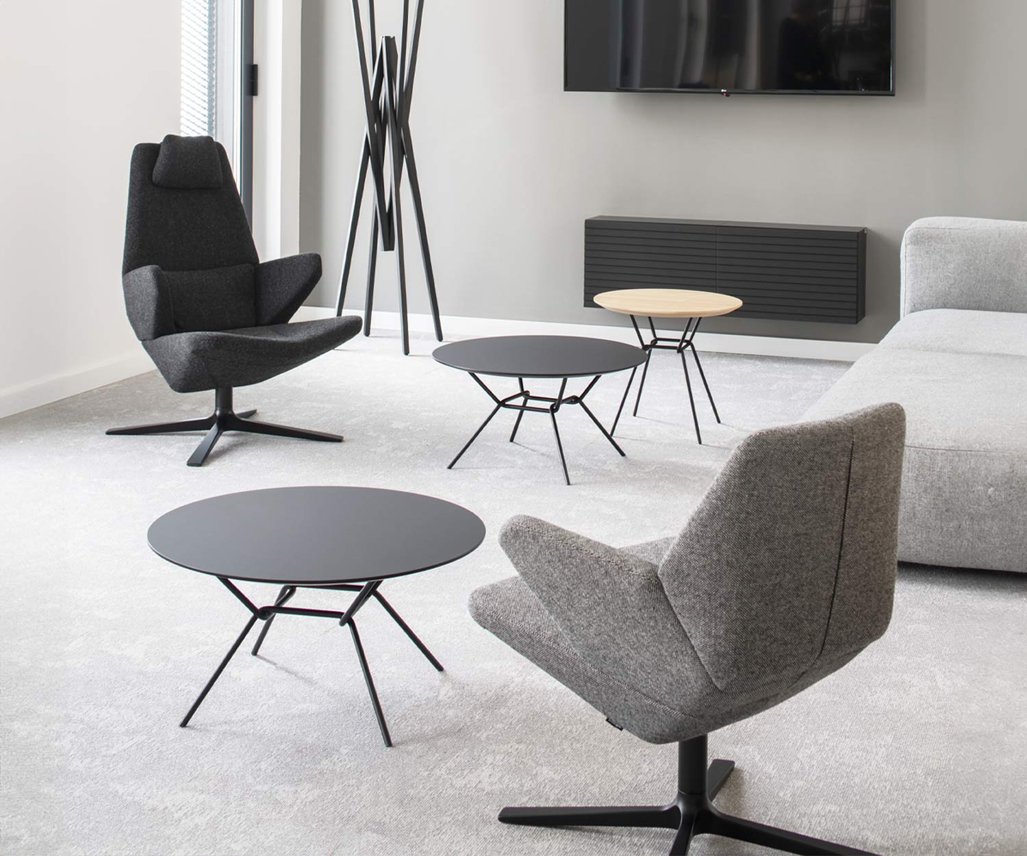 Prostoria Fauteuil Trifidae