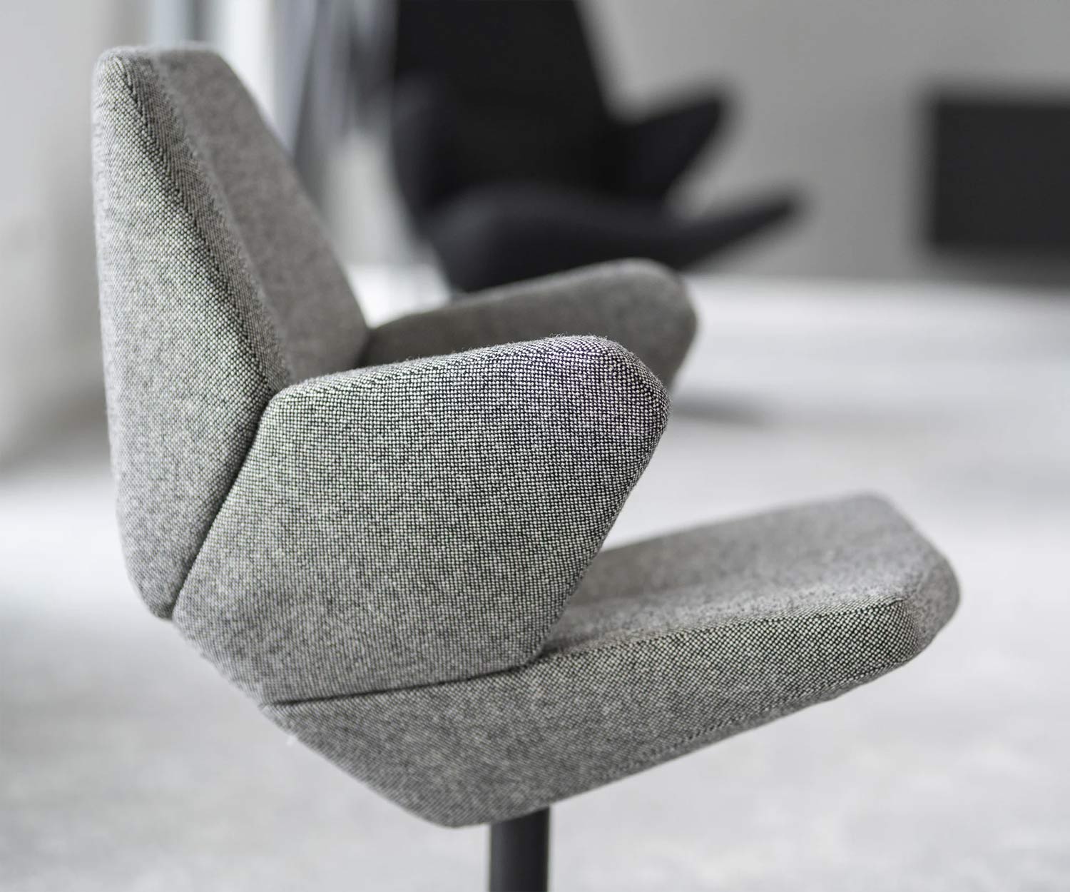 Prostoria Fauteuil Trifidae