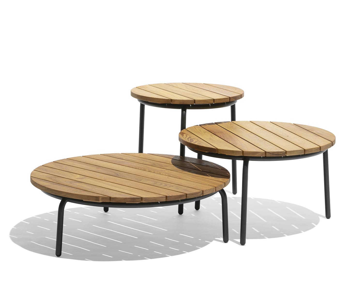 Exclusif Todus Starling Table d'appoint avec plateau en acacia Exclusif Todus Starling Table d'appoint avec plateau en acacia